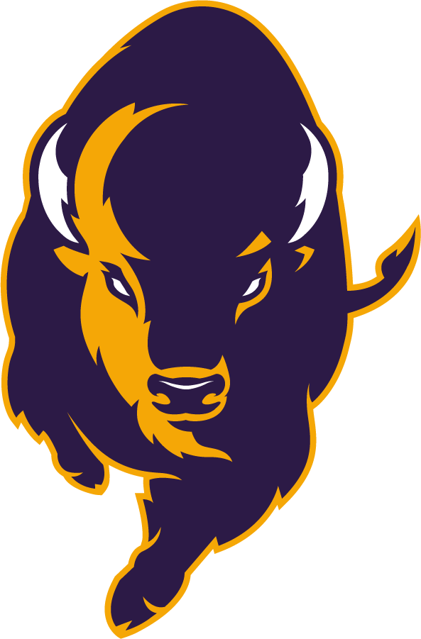 Lipscomb Bisons 2020-Pres Alternate Logo v2 iron on transfers for clothing